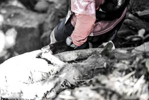 BIB: 
                            <button type="button" onclick="openModal(7025332)" class="btn btn-primary btn-sm float-right btn-popup" data-toggle="modal" data-target=".modal-high-quality">
                        <i class="fas fa-shopping-cart"></i> Add to Cart
                    </button>
                                            <button type="button" onclick="isThisMe(7025332, true)" class="btn btn-success btn-sm float-right btn-popup btn-isme hidden" data-toggle="tooltip" data-placement="bottom" title="นี่คือรูปของคุณใช่ไหม คลิกที่นี่เพื่อเอาเข้าอัลบั้ม">
                        <i class="fas fa-plus"></i> Add to album
                    </button>
                    <button type="button" onclick="isThisMe(7025332, false)" class="btn btn-warning btn-sm float-right btn-popup btn-isnotme hidden">
                        <i class="fas fa-ban"></i> Remove from album
                    </button>